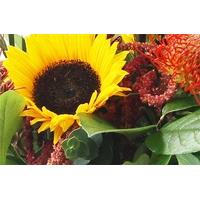 Sunflowers and Pins