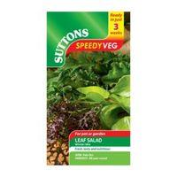 Suttons Speedy Veg Leaf Salad Seeds Winter Mix