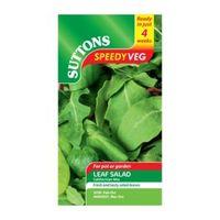 Suttons Speedy Veg Leaf Salad Seeds Californian Mix