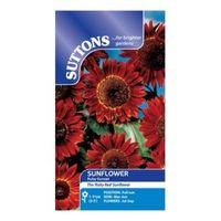Suttons Sunflower Seeds Ruby Sunset Mix