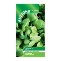 Suttons Spinach Seeds F1 Amazon Mix