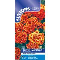 suttons marigold french seeds queen sophia mix