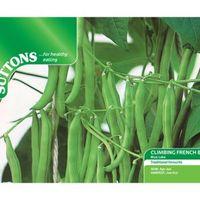 Suttons Climbing French Bean Seeds Blue Lake Mix