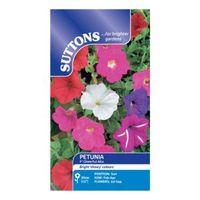 Suttons Petunia Seeds F2 Cheerful Mix