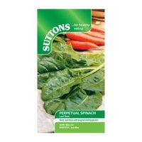 Suttons Spinach Seeds Perpetual Spinach Mix