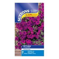 Suttons Petunia Supa Seeds F1 Purple Wave Mix