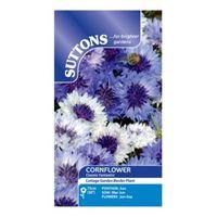 Suttons Cornflower Seeds Classic Fantastic Mix