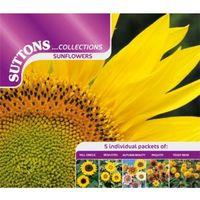Suttons Sunflower Seeds Collection Mix