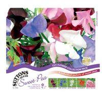 Suttons Sweet Pea Seeds Exhibitors Collection Mix