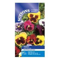 Suttons Pansy Seeds Giant Fancy Mix