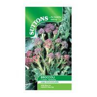 Suttons Sprouting Broccoli Seeds F1 Claret Mix