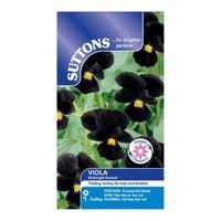 Suttons Viola Seeds Midnight Runner Mix