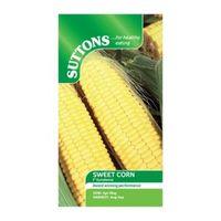 Suttons Sweet Corn Seeds F1 Sundance Mix