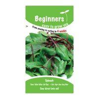 Suttons Beginners Spinach Seeds F1 Ready Mix