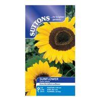 Suttons Sunflower Seeds Giant Yellow Mix