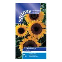 Suttons Sunflower Seeds F1 Full Sun Mix