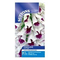 Suttons Digitalis Seeds Pam\'s Split Mix