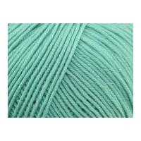 Sublime Extra Fine Merino Wool Knitting Yarn DK 488 Palm