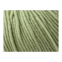 Sublime Extra Fine Merino Wool Knitting Yarn DK 252 Pistachio
