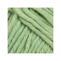 surestitch rug wool pale green each