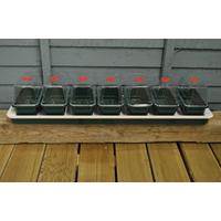 super 7 windowsill seed propagator heated by garland