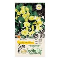 Suttons Wildlife Sanctuary Primrose Seeds Wild Mix