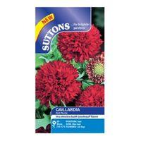 Suttons Gaillardia Seeds Red Plume Mix