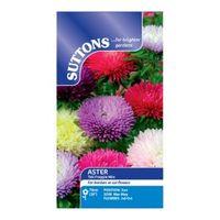 Suttons Aster Seeds Tall Fraggle Mix