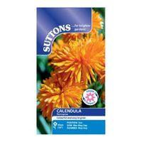 Suttons Calendula Seeds Porcupine Mix