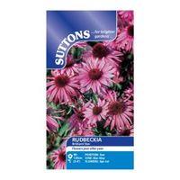 Suttons Rudbeckia Seeds Purpurea Brilliant Star Mix