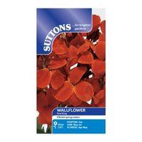 Suttons Wallflower Seeds Fire King Mix