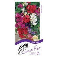 Suttons Sweet Pea Seeds Patio Mix
