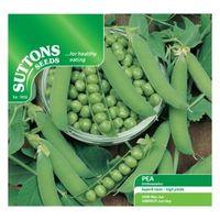 Suttons Pea Seeds Ambassador Mix