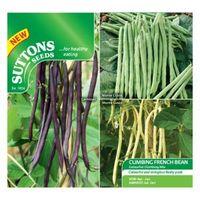 Suttons Climbing French Bean Seeds Colourful Climbing Mix