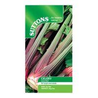 Suttons Celery Seeds Giant Red Mix