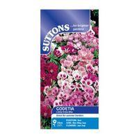 suttons godetia seeds little frills mix