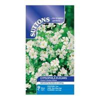 suttons gypsophila seeds covent garden white mix