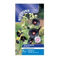 Suttons Hollyhock Seeds Black Knight Mix