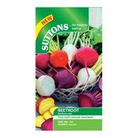 Suttons Beetroot Seeds Rainbow Mix