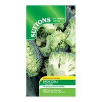 Suttons Broccoli Seeds F1 Stromboli Mix