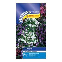 Suttons Lobelia Seeds String Of Pearls Mix