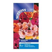 Suttons Nemesia Seeds Carnival Mix