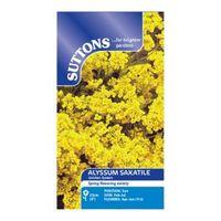 Suttons Alyssum Saxatile Seeds Golden Queen Mix