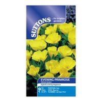 Suttons Evening Primrose Seeds Yellow Queen Mix