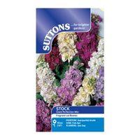Suttons Stock Seeds Giant Perfection Mix
