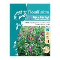 Suttons Floral Fusions Floral Fusions Seeds La Rondine Mix