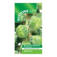 suttons brussels sprout seeds f1 continuity mix