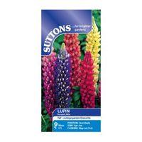 Suttons Lupin Seeds Russell Mix