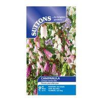 Suttons Campanula Seeds Cottage Garden Mix