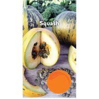 Suttons Squash Seeds